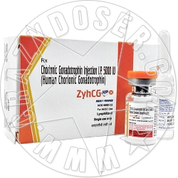 ZYHCG HP 5K