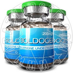 BOLDOGER EXP.09.2021